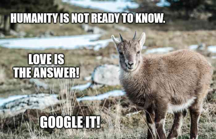 alternative-ways-to-say-i-dont-know