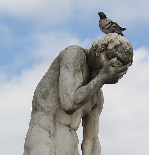 Is the pigeon there to poop on his head or listen to his troubles? You decide.