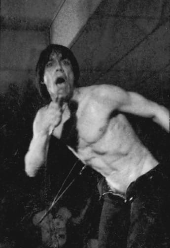 Iggy at University of California Davis Coffee House 1980