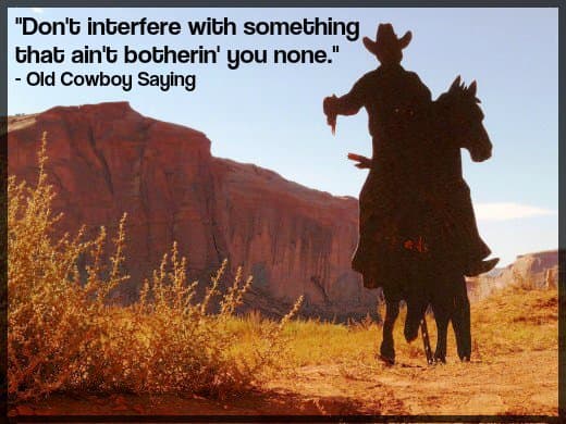 "Don't interfere with something that ain't botherin' you none." - Old Cowboy Saying