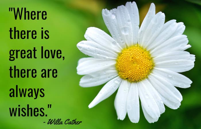 "Where there is love, there are always wishes." - Willa Cather, American writer
