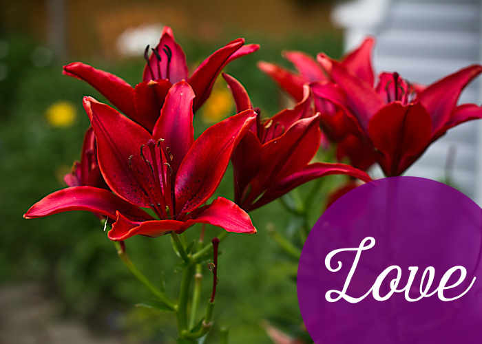 1000-things-to-write-a-song-about-ideas-for-songwriters-and-poets