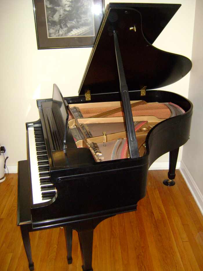 Avoid placing food or drinks on the piano. Cover the keyboard when not in use.