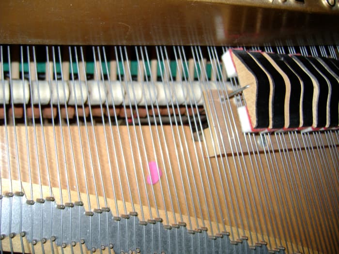 The sounding board on my grand piano. These are the strings that vibrate when you sing their resonant frequency.