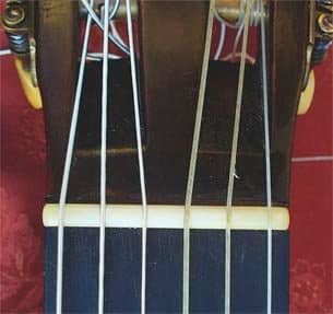 The nut. It doesn't look like a nut, but it plays an important role in the placement of your strings. It is the horizontal white bar, just below your headstock.