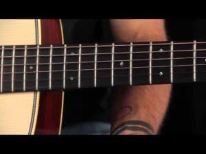 Position markers are the circles on your fretboard, in between the frets. They mark certain frets, for easy reference.