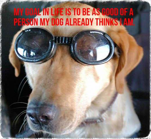"My goal is to be as good of a person as my dog already thinks I am." - Author Unknown