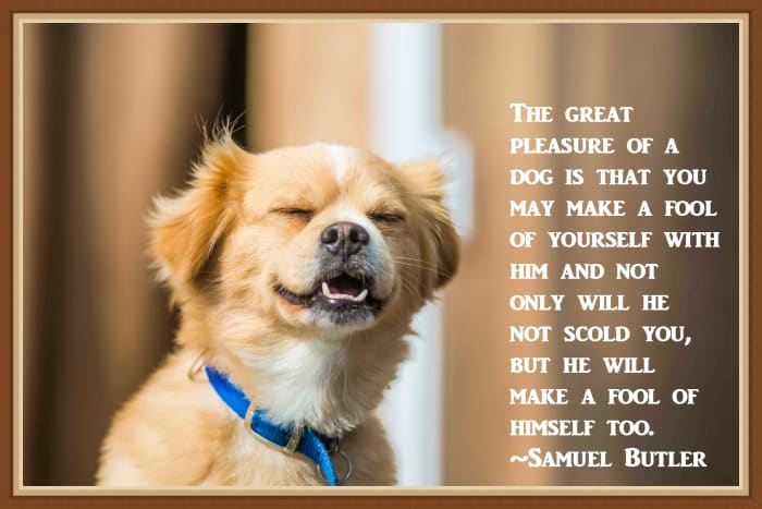 "The pleasure of a dog is that you make a fool of yourself with him and not only will he not scold you, but he will make a fool of himself too." - Samuel Butler