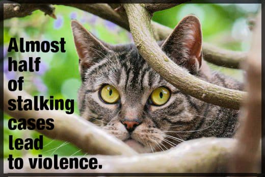 Take stalking seriously by alerting authorities. Almost half of stalking cases lead to violence.