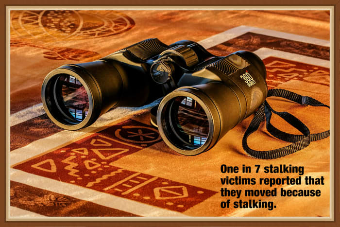 One in 7 stalking victims reported that they moved because of stalking.