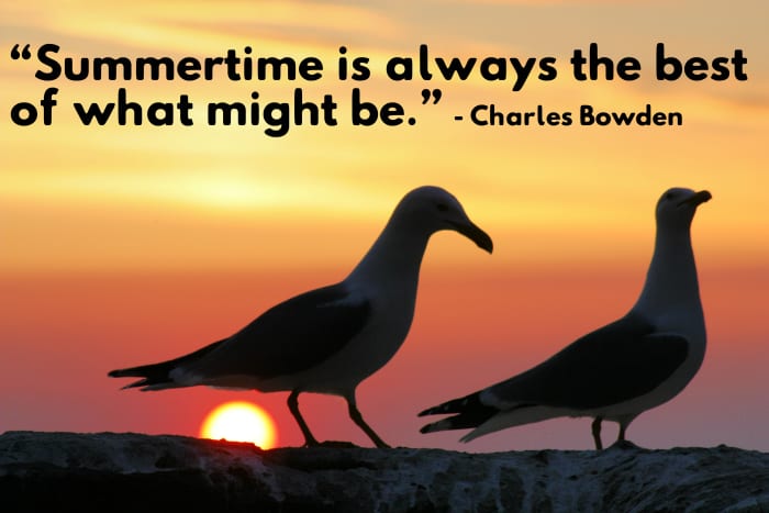 "Summertime is always the best of what might be." - Charles Bowden, American author