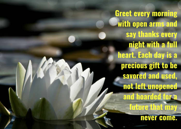 "Greet every morning with open arms and say thanks every night with a full heart. Each day is a precious gift to be savored and used, not left unopened and hoarded for a future that may never come." - Regina Brett, American author