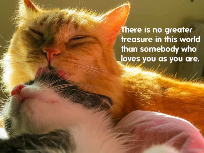 "There is no greater treasure in this world than somebody who loves you as you are." - Eric Micha'el Leventhal, American author