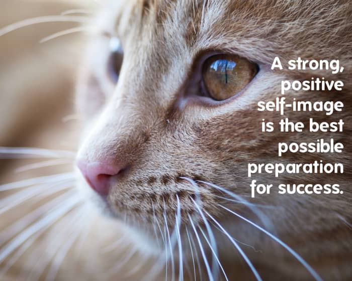 "A strong, positive self-image is the best possible preparation for success. Dr. Joyce Brothers, American psychologist