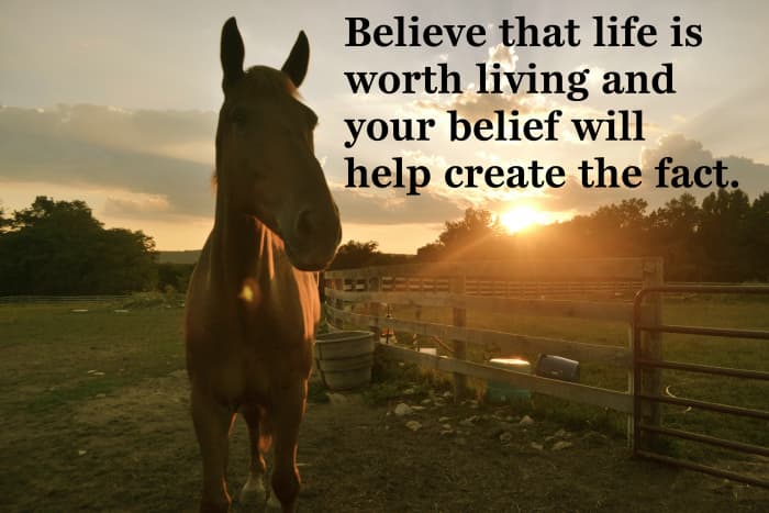 "Believe that life is worth living and your belief will help create the fact." William James, Father of American psychology