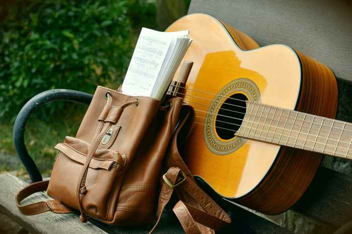 A relatively simple and portable acoustic instrument is all that is necessary to create folk music of different styles.