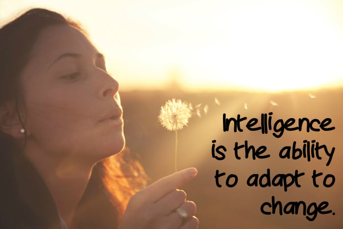 "Intelligence is the ability to adapt to change." - Stephen Hawking, English theoretical physicist