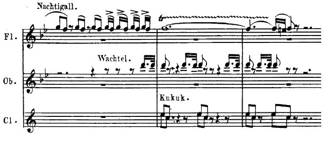 Birdsong Notated in Beethoven's Pastoral Symphony