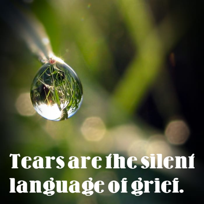 "Tears are the silent language of grief." - Voltaire, French philosopher