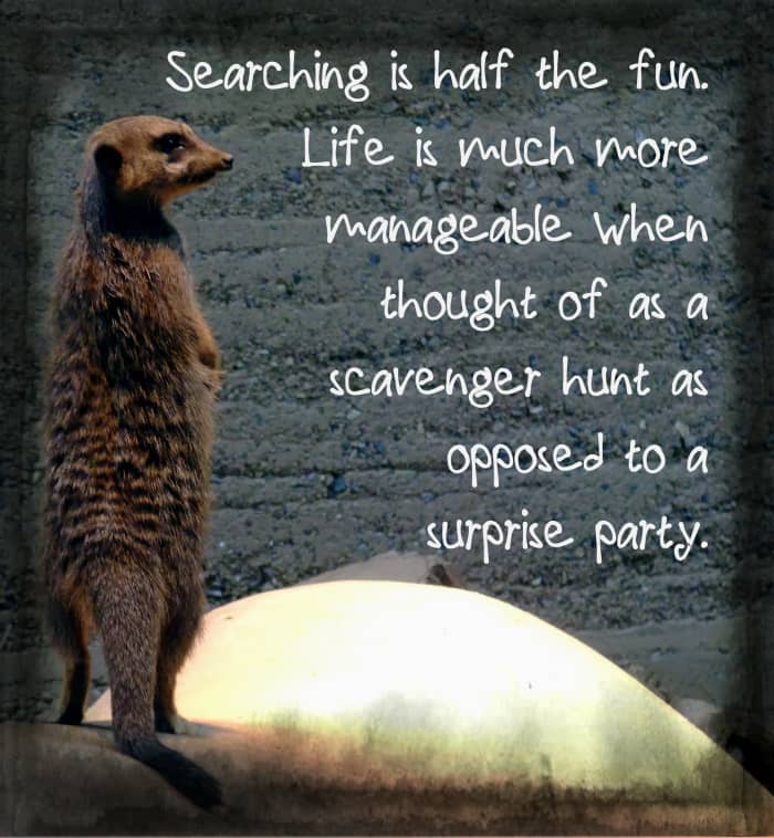 "Searching is half the fun. Life is much more manageable when thought of as a scavenger hunt as opposed to a surprise party." - Jimmy Buffett, American singer