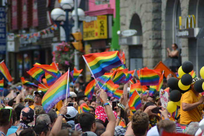 Members of the LGBT community advocated for transgender rights and for basic civil rights in employment and housing.  Marriage rights was also a key platform issue prior to the legalization of same sex marriage in all 50 states.