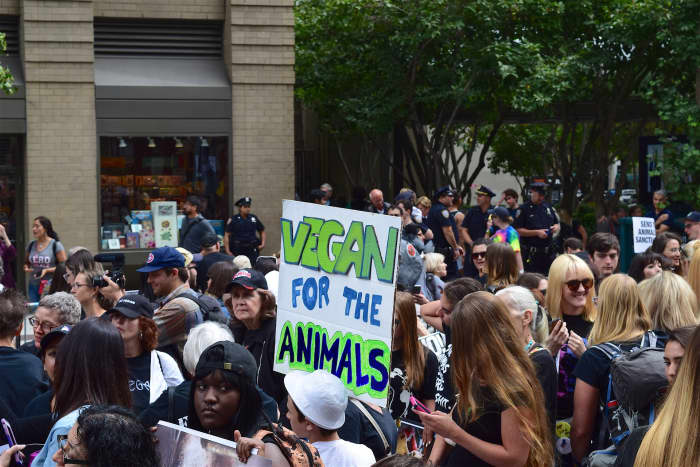 Animal rights activists have long been concerned with the property status of animals, factory farming, veganism, animal experimentation, companion animal homelessness and overpopulation, fur, hunting, and other issues.