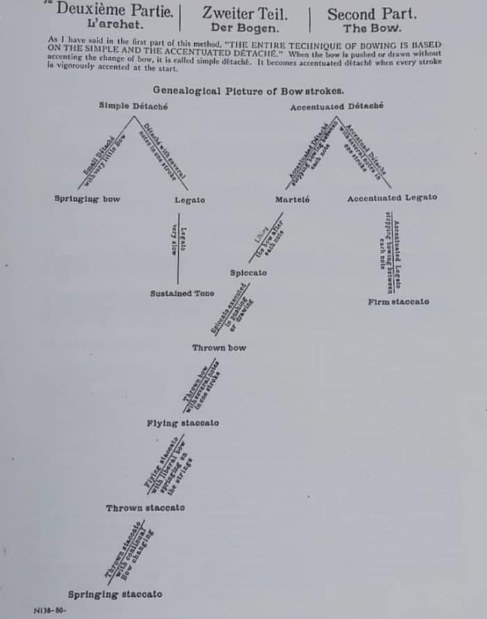 Genealogical Picture of Bow Strokes