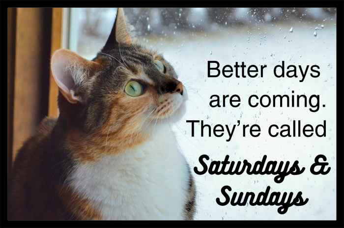 Better days are coming. They're called the Saturdays & Sundays.