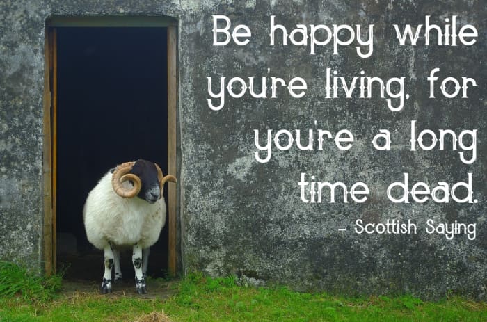 "Be happy while you’re living, for you’re a long time dead." - Scottish saying