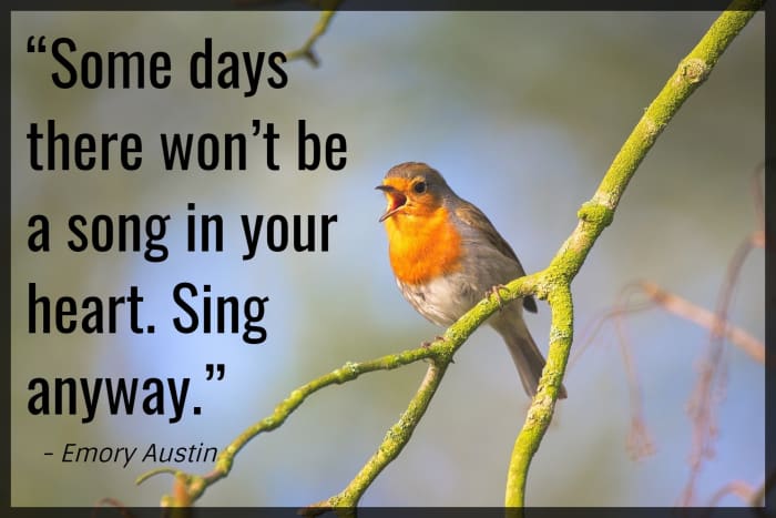 “Some days there won’t be a song in your heart. Sing anyway.” - Emory Austin, American motivational speaker