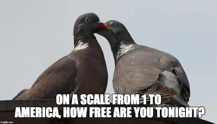 Ask your partner on a date in a creative way.