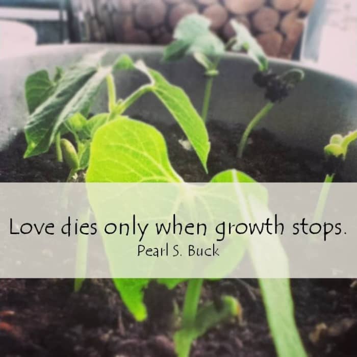 Couples who find true, lasting love are those who are committed to nurturing their relationships on a daily basis.