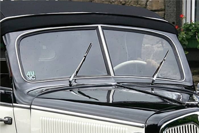 Like windshield wipers, lonely spouses may move together though they do not touch. Photo by Lothar Spurzem