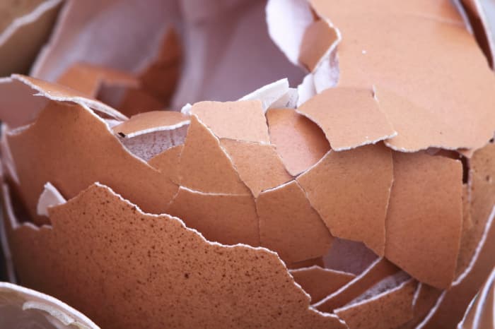 Does being around your partner make you feel like you are walking on eggshells? That could be a sign of a bad relationship.