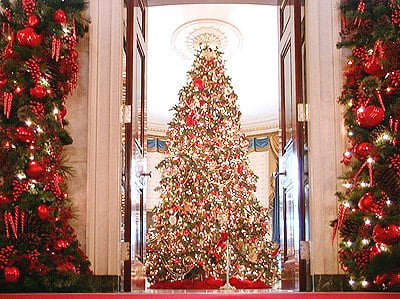 White House Christmas Tree in the Blue Room Note: Chandelier Was Removed to Make Room for the Large Tree