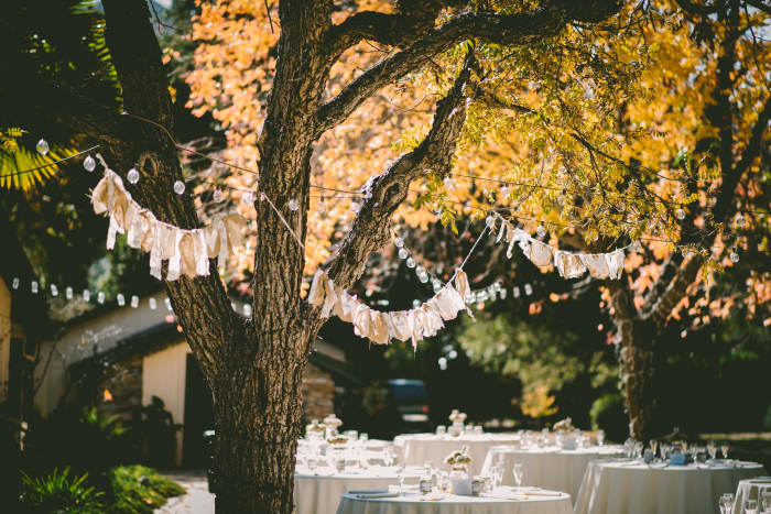 If you're on a budget, you can easily get married at a local park, or even in the woods!