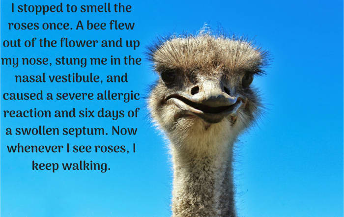hilarious-facebook-status-updates