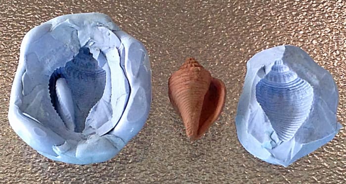 Bronze clay sea shell before firing, molded from a shell I picked up on a beach in Florida; the high shrinkage of the BRONZclay formula picks up even fine detail.