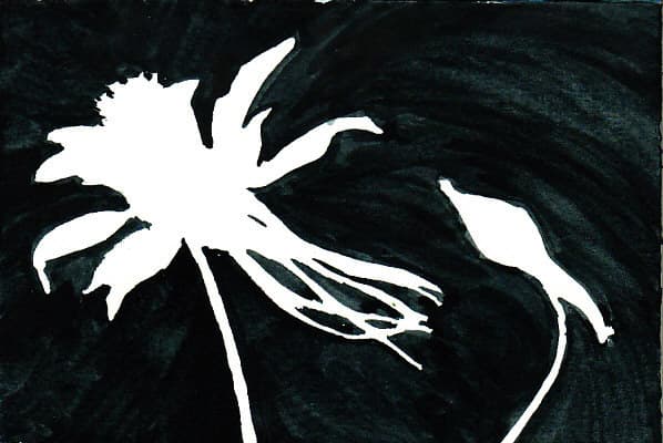Stage One: Paint the Negative Space. Paint everything around the flower and not the flower itself or anything within its outer outlines. Don't bother about interior details.