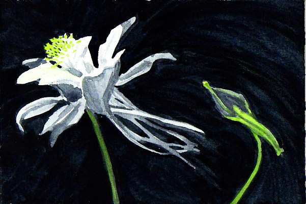 After letting my Grisaille Painting dry completely, I added yellows and greens glazing them over the color already there.