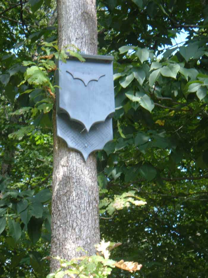 How to Build a Bat House Plans, Photos, and Instructions