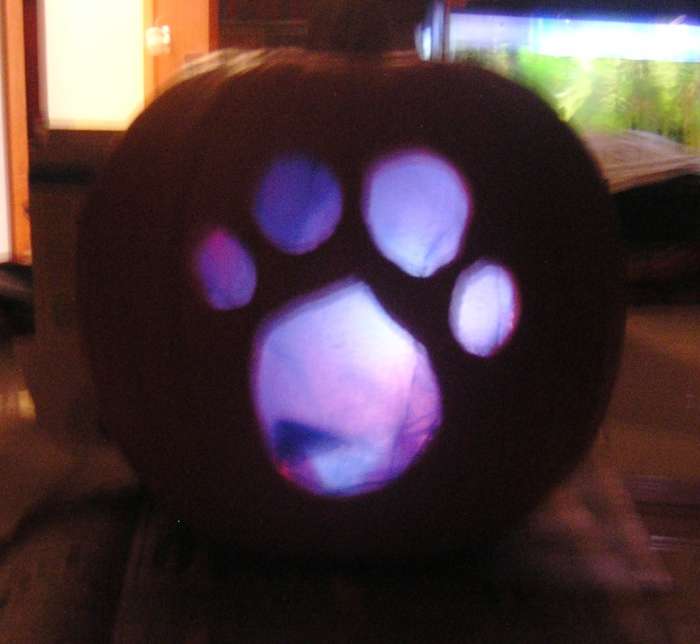 My husband made this for my son when he was two. The "blue" pawprint from Blue's Clues was made by gently attaching blue tissue paper with toothpicks on the inside of the pumpkin after it had been cut out.