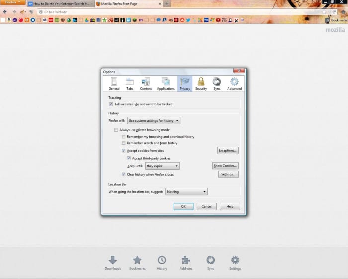 Customizing your privacy settings can prevent your browsing history from even being saved.