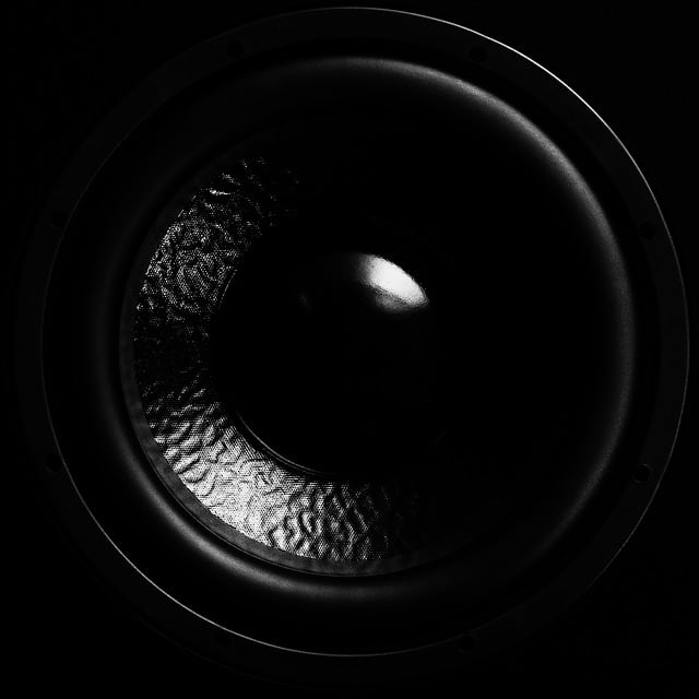 Low Frequency Bass Driver. Low frequency sounds fill out the audio output and give a fuller experience. More depth is also provided. Bookshelf speakers are sometimes too small to output sufficient bass, so you may wish to buy a separate subwoofer.