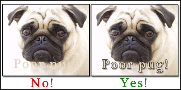 Poor pug! I bet you almost didn't even notice there was text in the first example! See what a couple of layer styles can do? This is just "drop shadow" and "stroke."