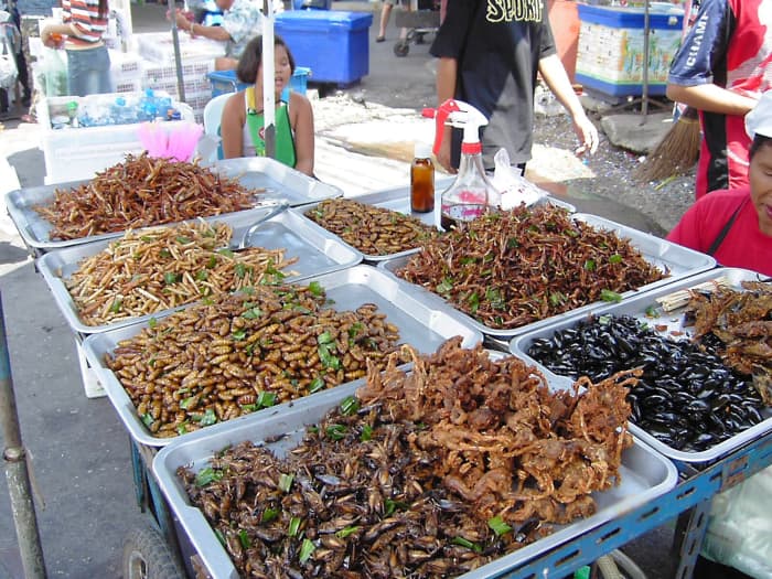Some people enjoy eating insects. These are deep fried. Dried and powdered insects may one day be added to a liquid to make a medium for a food printer.