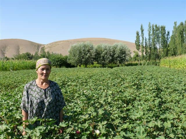 This farmer grows organic cotton in Kyrgyzstan.