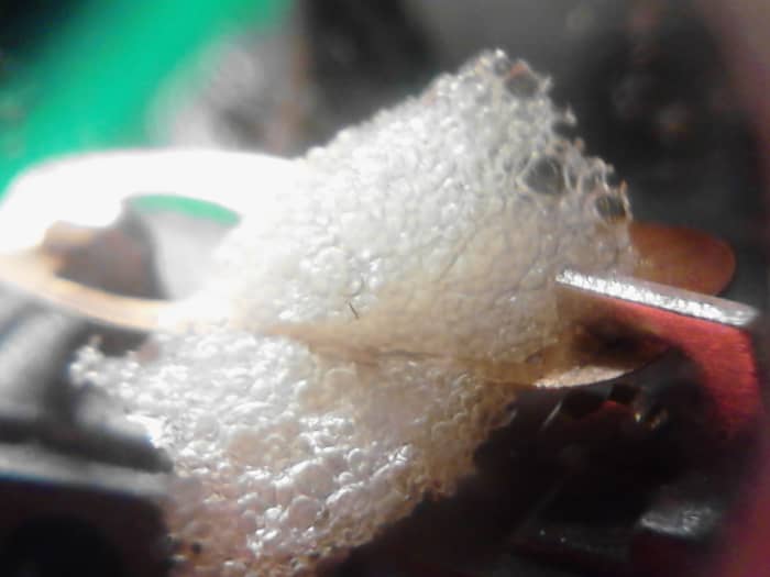 Notice how the foam piece is now pulled about half way through the metal contact piece. Make sure no foam has been jammed in between the metal contacting points of the switch.