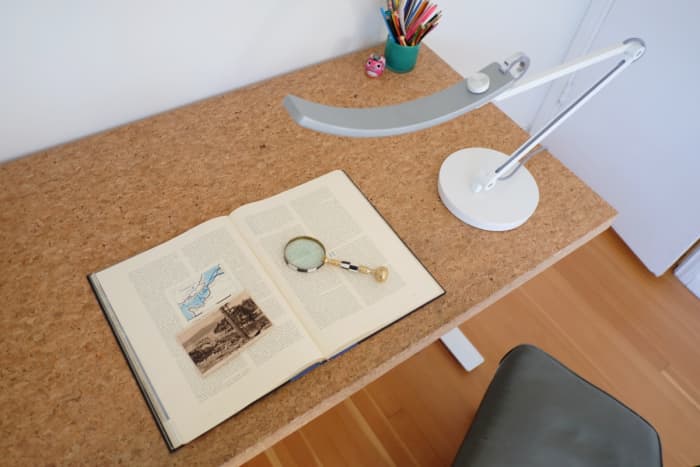The BenQ eReading LED lamp is ideal for computer work or reading. Or poring over vintage books with a magnifying glass, as one does.