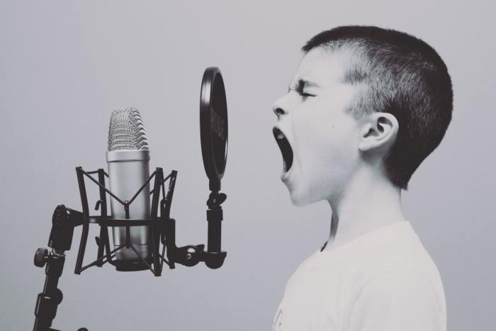 A good microphone may become your best friend, especially if you keep yelling at it.